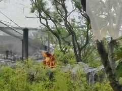 -武汉动物园
