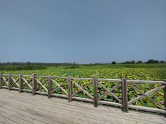 -野鸭湖国家湿地公园