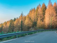 -山王坪喀斯特国家生态公园