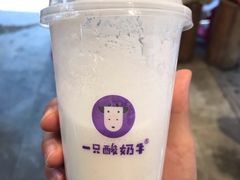 -一只酸奶牛(八一路店)