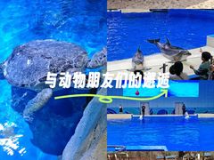 -石家庄市动物园