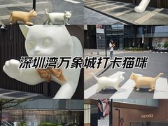 -深圳湾万象城