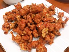 -宏天寶·北京烤鸭(宾馆西路2店)