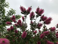 -江南大学(蠡湖校区)