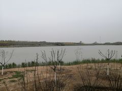 -西青郊野公园