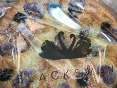 -BLACKSWAN黑天鹅(环球店)