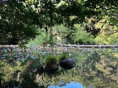 -燕晗山郊野公园