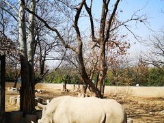 -西安秦岭野生动物园
