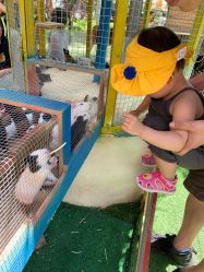 -萌宠亲子动物乐园(槐房万达店)