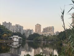 -江头公园