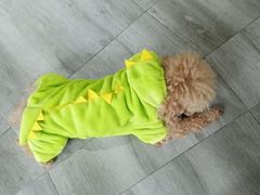 -爱侣宠医·鹦鹉专科·小型哺乳类·异宠专科(灵石路店)