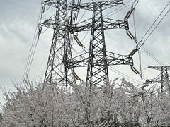 -外高桥保税区南(地铁站)