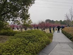-长广溪湿地公园