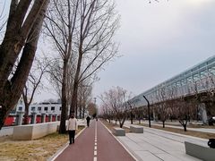 -五道口(地铁站)