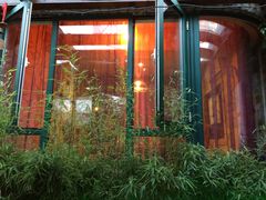 -慢丽江·云南野生菌土鸡锅(付家庄店)