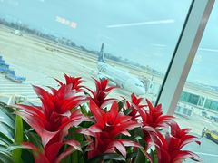 -福州长乐国际机场