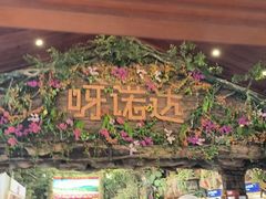 -呀诺达热带雨林