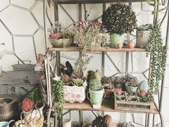 -Vanillacafe香草咖啡(银海大世界店)