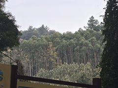 -三门江国家森林公园