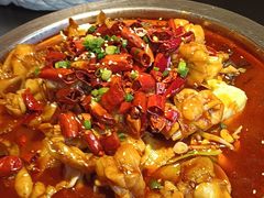 -美蛙四季(黄寺大街店)