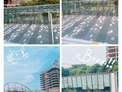 -上海山野camping·户外天幕烧烤·团建拓展营地