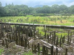 -河姆渡遗址博物馆