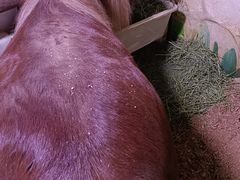 -正佳雨林生态植物园