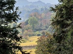 -塔川景区