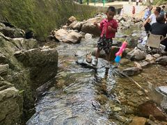 -陕西省红河谷森林公园