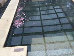 -苏州湾王焰温泉度假酒店