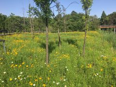 -昆山城市生态森林公园