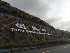 -海南铜鼓岭景区