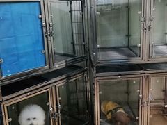 -芭比堂宠物医院·全科爱猫医院·仁德分院