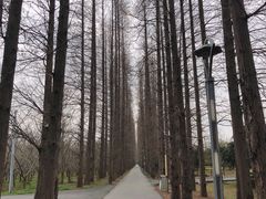 -金岛生态园烧烤露营地
