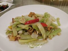 特色炒螺片-朱仔记食府(江南大道店)