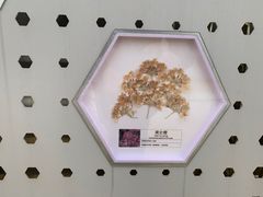 -明蜀王陵(地铁站)