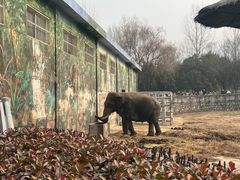 -西安秦岭野生动物园