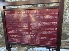-妙峰山风景名胜区