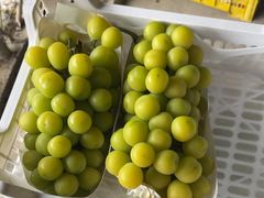 -马陆小张葡萄园农家乐