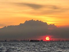 -宝安西湾红树林湿地公园