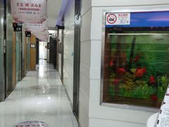 -雅悦齿科(顾村公园店)