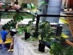 -青水瓦台汤泉(未央店)