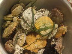 -土蚝·高压锅生蚝(百姓美食街店)