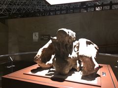 -世界恐龙谷景区