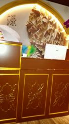 -源素美容养生会所