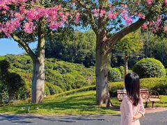 -东莞植物园