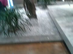 -明月东一酒店·菲斯特自助餐厅