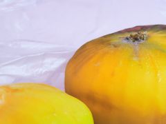 -乌恰市场(彩虹商场店)