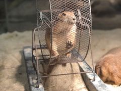 -绿色星球动物主题公园