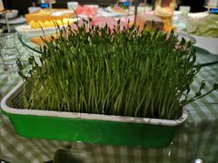 -番食园鲜食火锅(高新店)